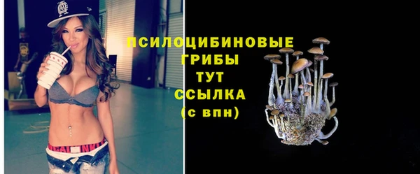 шишки Приозерск