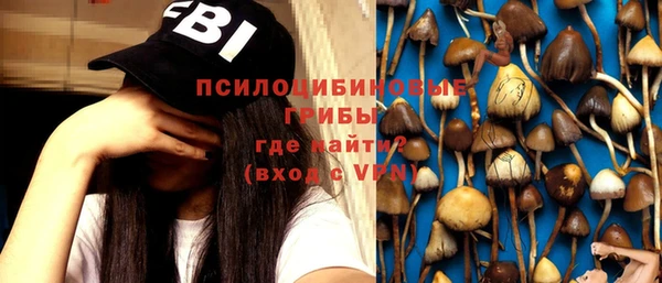 МДМА Алексеевка