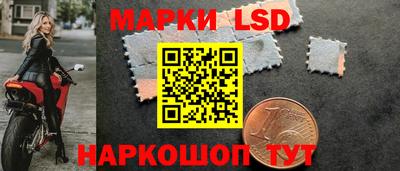 ПСИЛОЦИБИНОВЫЕ ГРИБЫ Можга