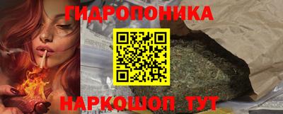 ПСИЛОЦИБИНОВЫЕ ГРИБЫ Можга