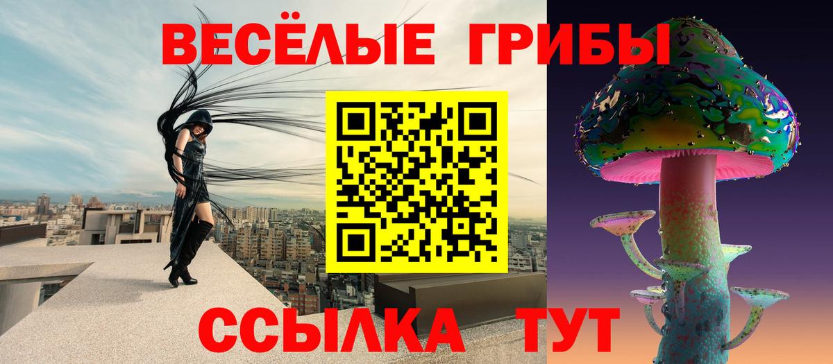 Узловая  Псилоцибиновые грибы Cubensis  Галлюциногенные грибы Cubensis  Вход с VPN 