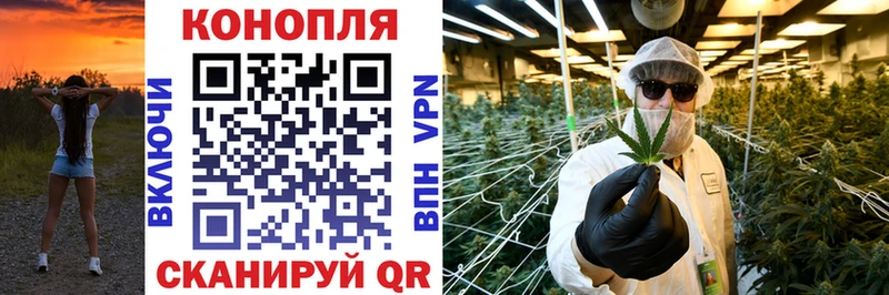 Конопля марихуана  Узловая 